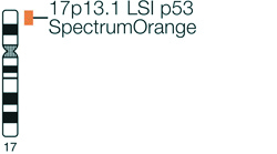 LSI-TP53-SpectrumOrange-Probe