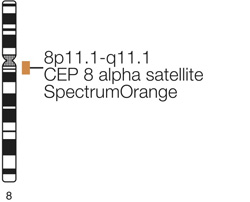 Vysis-CEP-8-SpectrumOrange-Direct-Labeled-Fluorescent-DNA-Probe-Kit