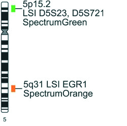 Vysis-Cri-du-Chat-Region-Probe-LSI-EGR1-SpectrumOrange-LSI-D5S23-D5S721-SpectrumGreen