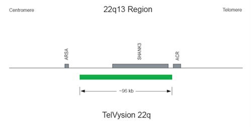 Vysis-DiGeorge-Region-Probe-LSI-TUPLE1-HIRA-SpectrumOrange-TelVysion-22q-SpectrumGreen
