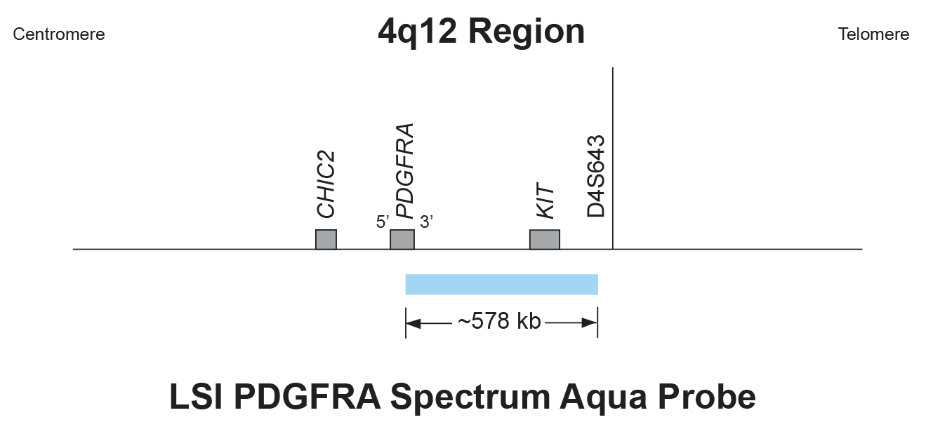 Vysis-LSI-PDGFRA-SpectrumAqua-Probe