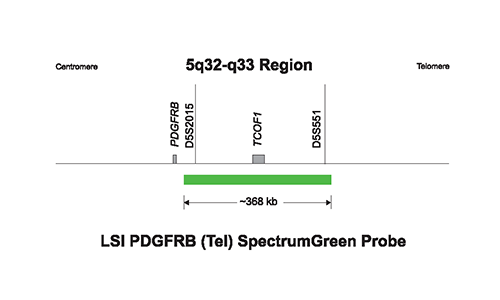 Vysis-LSI-PDGFRB-Tel-SpectrumGreen-Probe