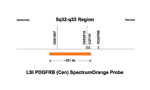 Vysis-LSI-PDGFRB-Cen-SpectrumOrange-FISH-Probe
