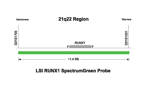 Vysis-LSI-RUNX1-SpectrumGreen-Probe