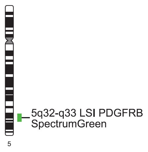 Vysis-LSI-PDGFRB-Tel-SpectrumGreen-Probe