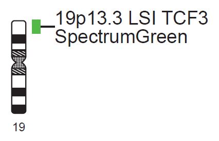 Vysis-LSI-TCF3-SpectrumGreen-Probe