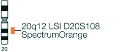 Vysis-LSI-D20S108-SpectrumOrange-Probe