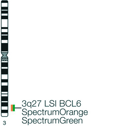 Vysis-LSI-BCL6-Dual-Color-Break-Apart-Rearrangement-Probe
