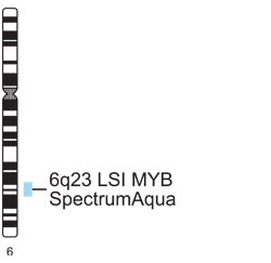 Vysis-LSI-MYB-SpectrumAqua-Probe
