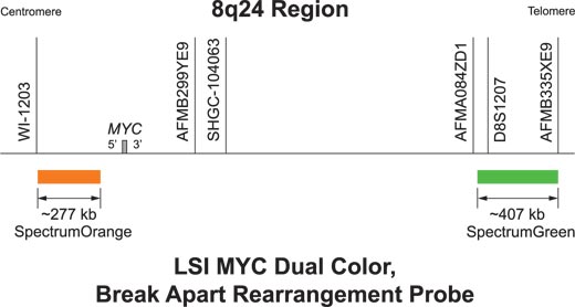 Vysis-LSI-MYC-Dual-Color-Break-Apart-Rearrangement-Probe