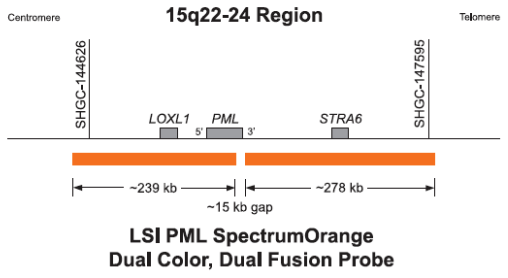 Vysis-LSI-PML-RARA-Dual-Color-Dual-Fusion-Translocation-Probe