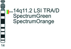 Vysis-LSI-TRA-D-Dual-Color-Break-Apart-Rearrangement-Probe