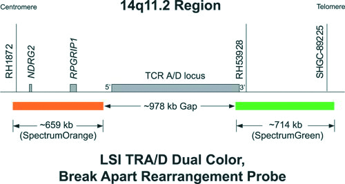 Vysis-LSI-TRA-D-Dual-Color-Break-Apart-Rearrangement-Probe