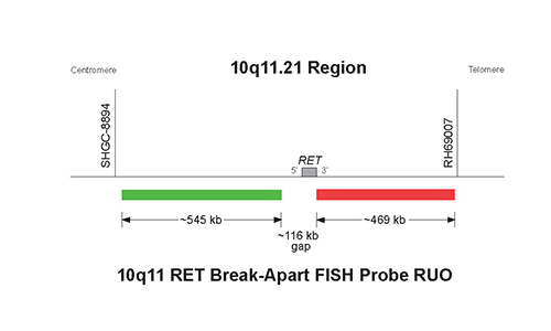 Vysis-10q11-RET-Break-Apart-FISH-Probe