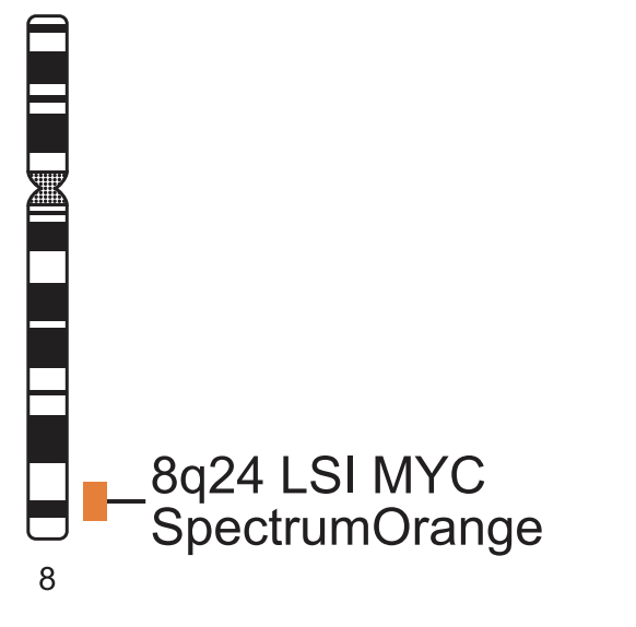Vysis-LSI-MYC-SpectrumOrange-Probe