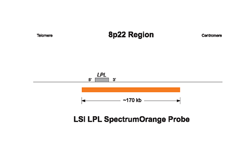 Vysis-LSI-LPL-SpectrumOrange-Probe