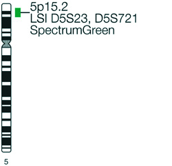 Vysis-LSI-D5S23-D5S721-SpectrumGreen-Probe