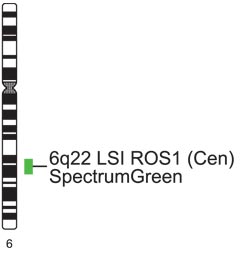 Vysis-LSI-ROS1-Cen-SpectrumGreen-Probe