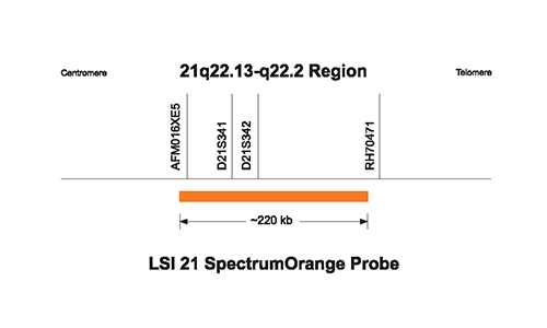 Vysis-LSI-21-SpectrumOrange-Probe-Kit