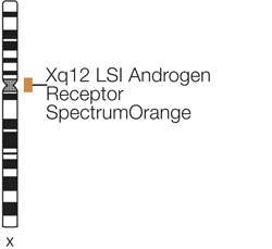 Vysis-LSI-Androgen-Receptor-Gene-Xq12-SpectrumOrange-Probe