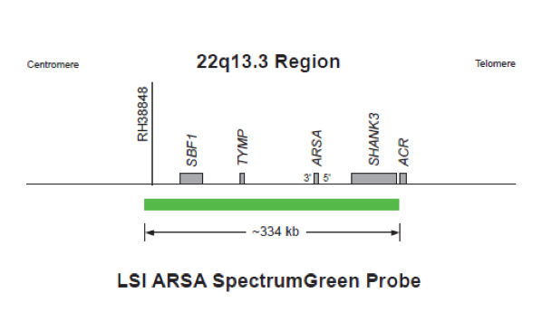 Vysis-LSI-ARSA-SpectrumGreen-Probe