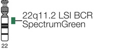 Vysis-LSI-BCR-ABL-Dual-Color-Dual-Fusion-Translocation-Probe-Kit