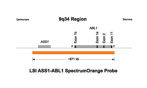 Vysis-LSI-BCR-ABL-Dual-Color-Dual-Fusion-Translocation-Probe-Kit