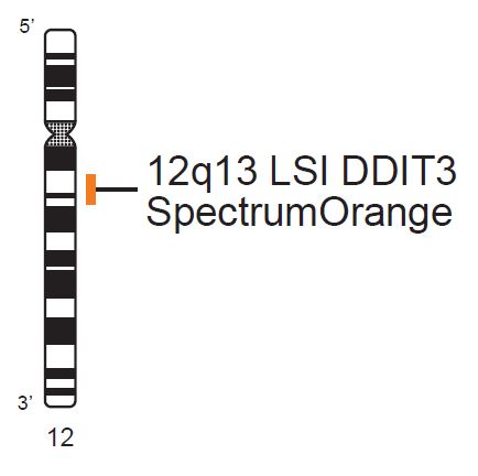 Vysis-LSI-DDIT3-Cen-SpectrumOrange-Probe
