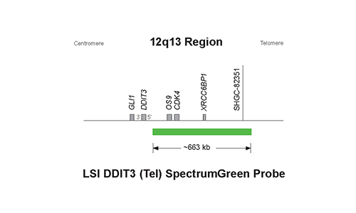 Vysis-LSI-DDIT3-Tel-SpectrumGreen-Probe