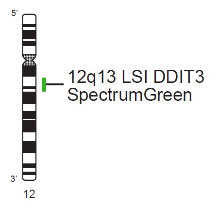 Vysis-LSI-DDIT3-Tel-SpectrumGreen-Probe