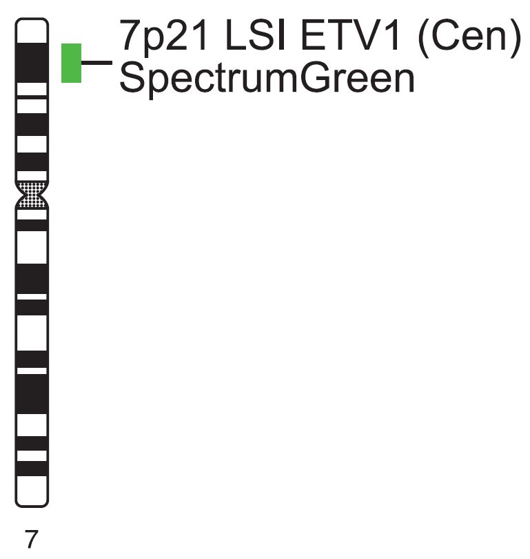 Vysis-LSI-ETV1-Cen-SpectrumGreen-Probe