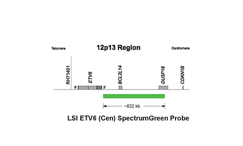 Vysis-LSI-ETV6-Cen-SpectrumGreen-Probe