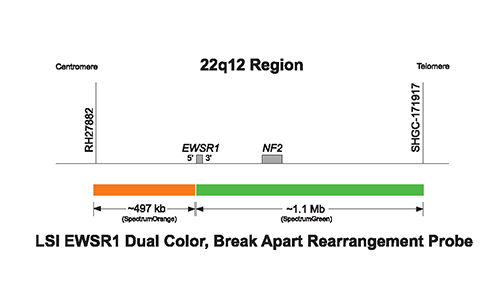 Vysis-LSI-EWSR1-Dual-Color-Break-Apart-Probe