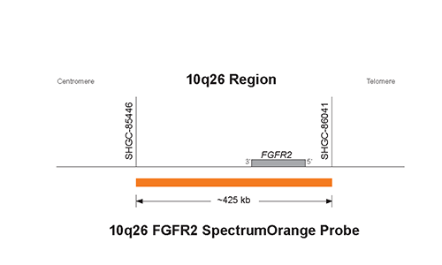 Vysis-LSI-FGFR2-SpectrumOrange-Probe