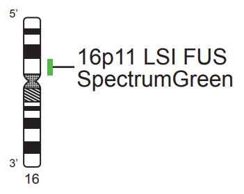 Vysis-LSI-FUS-Tel-SpectrumGreen-Probe
