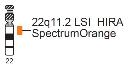 Vysis-LSI-HIRA-SpectrumOrange-Probe