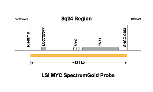 Vysis-LSI-MYC-SpectrumGold-Probe