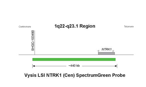 Vysis-LSI-NTRK1-Cen-SpectrumGreen-Probe