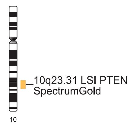 Vysis-LSI-PTEN-SpectrumGold-Probe