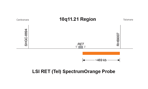 Vysis-LSI-RET-Tel-Spectrum-Orange