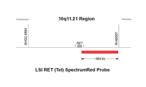Vysis-LSI-RET-Tel-Spectrum-Red-Probe