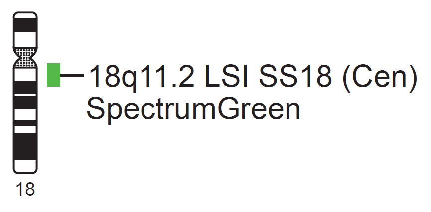 Vysis-LSI-SS18-Cen-SpectrumGreen-Probe
