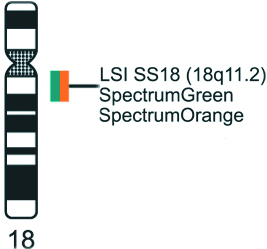 Vysis-LSI-SS18-Dual-Color-Break-Apart-Probe-Kit